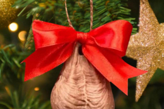 2b_PANTY-HOS-HOS-HOES