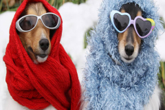 3b_CANT-GET-ENOUGH-OF-THE-TINA-SNOW