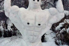 4b_WARNING-REINDEERS-FLY-HIGH