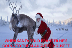 6b_THE-TORIES-ROBBING-BASTARDS-CHOIR