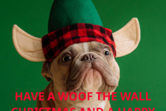 7b_PITCHED-UP-HIGH-VOCALS