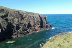 DSCN1462