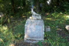 DSCN1469