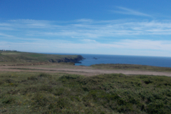 DSCN1351