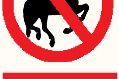No Galloping