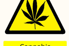 Cannabis Smokers