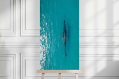 Whale Of A Time