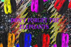 Don't Forget The Elephants