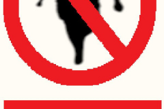 No Legged Pirates