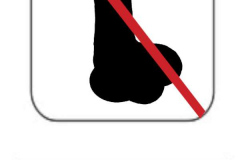 No D**** Riding