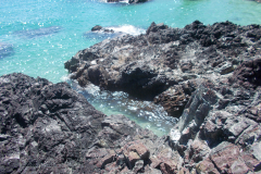 Mediterranean Cornwall