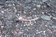 Washed Up