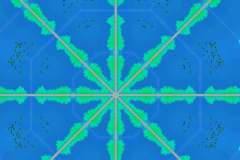 2_BIRDS-FLY-HIGH-2048x2048