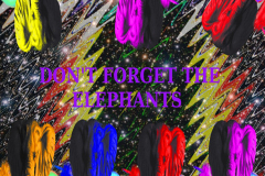 7_DONT-FORGET-THE-ELEPHANTS-1