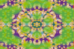 8_QUEEN-BEE-2048x2048