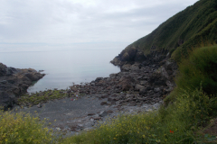DSCN1867