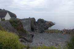 DSCN1868
