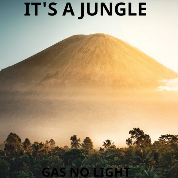 It's A Jungle