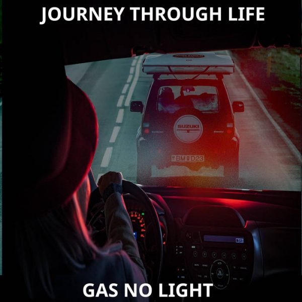 Journey Through Life