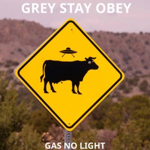 Grey Stay Obey