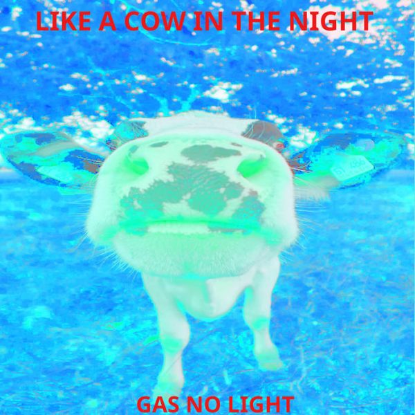 Like A Cow In The Night
