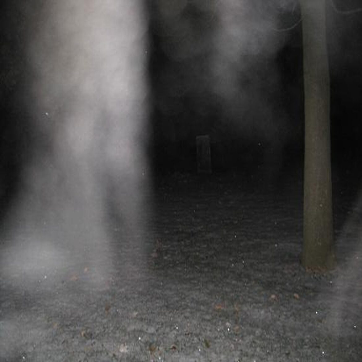 Dark Impressions Post – Ghost Mist – GasNoLight.co.uk