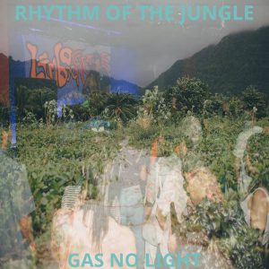 Rhythm Of The Jungle