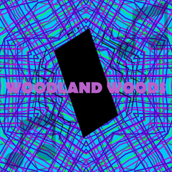 Woodland Woods Alarm