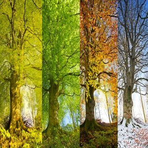 FREE SEASONAL MUSIC