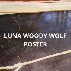 Luna Woody Wolf Poster