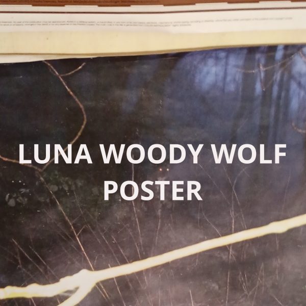 Luna Woody Wolf Poster