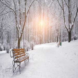 WINTER MUSIC