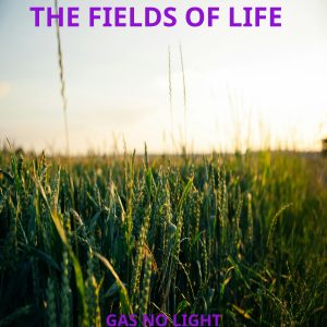 The Fields Of Life