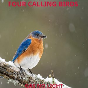 Four Calling Birds