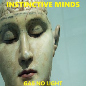 Instinctive Minds